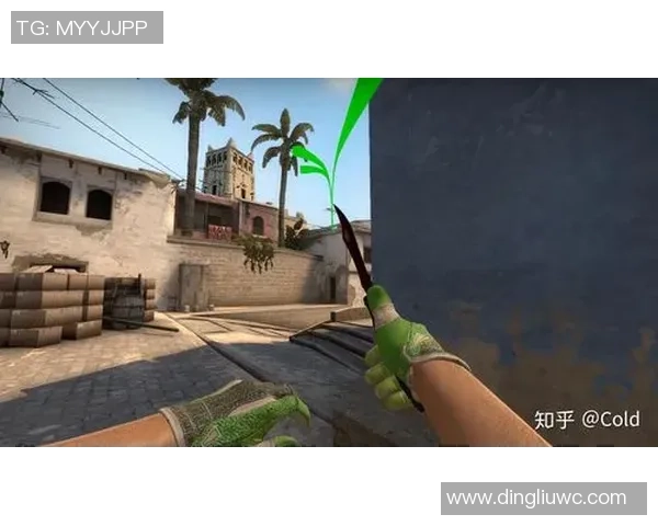 CSGO新手必看配合技巧与战术入门全面指南