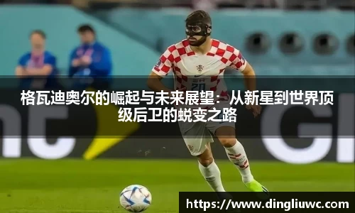格瓦迪奥尔的崛起与未来展望：从新星到世界顶级后卫的蜕变之路
